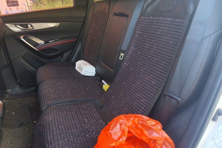 Used CHANGAN CS55 2018 1.5T Manual Colorful Model China V Standard Left Rear Seat
