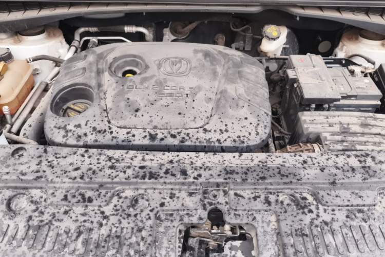 Used CHANGAN CS55 2019 1.5T Automatic Xuan Dong Model China VI Standard Engine Bay