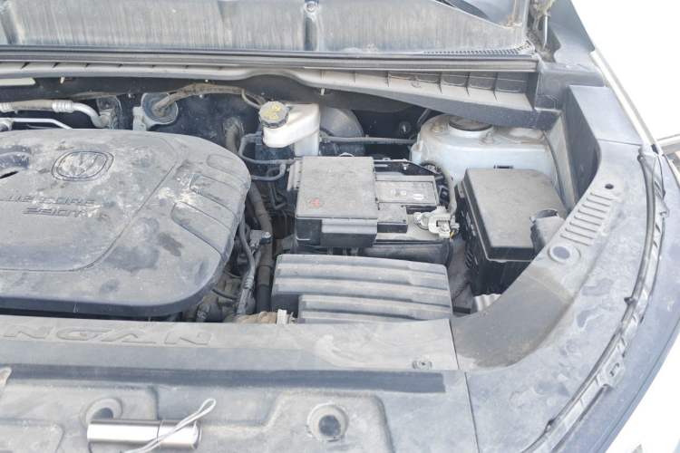 Used CHANGAN CS55 2019 1.5T Manual Colorful Model China VI Standard Engine Bay Left