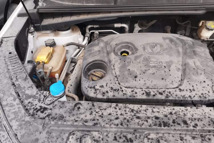 Used CHANGAN CS55 2019 1.5T Automatic Xuan Dong Model China VI Standard Engine Bay Right