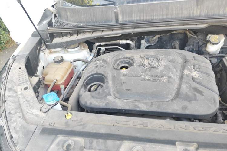 Used CHANGAN CS55 2019 1.5T Manual Colorful Model China VI Standard Engine Bay Right