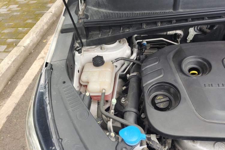 Used CHANGAN CS55 2019 1.5T Automatic Cool Edition China VI Standard Engine Bay Right