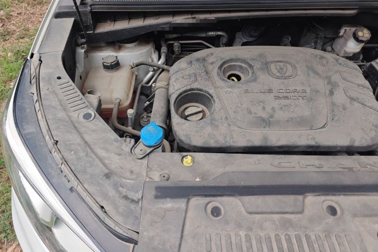 Used CHANGAN CS55 2019 1.5T Manual Colorful Model China VI Standard Engine Bay Right