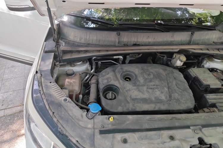 Used CHANGAN CS55 2019 1.5T Manual Colorful Model China VI Standard Engine Bay Right