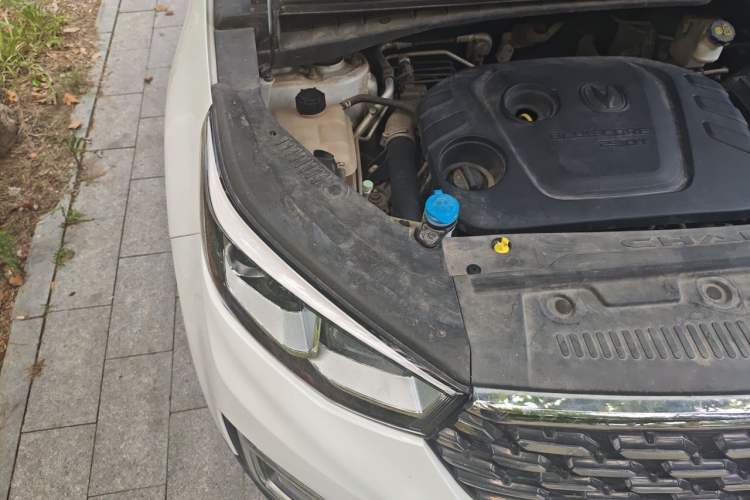 Used CHANGAN CS55 2019 1.5T Manual Colorful Model China VI Standard Engine Bay Right