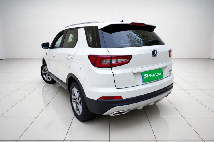 Used CHANGAN CS55 2019 1.5T Manual Colorful Model China VI Standard Exterior 2