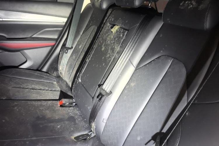 Used CHANGAN CS55PLUS 2020 1.5T Automatic Xuan Dong Edition Left Rear Seat