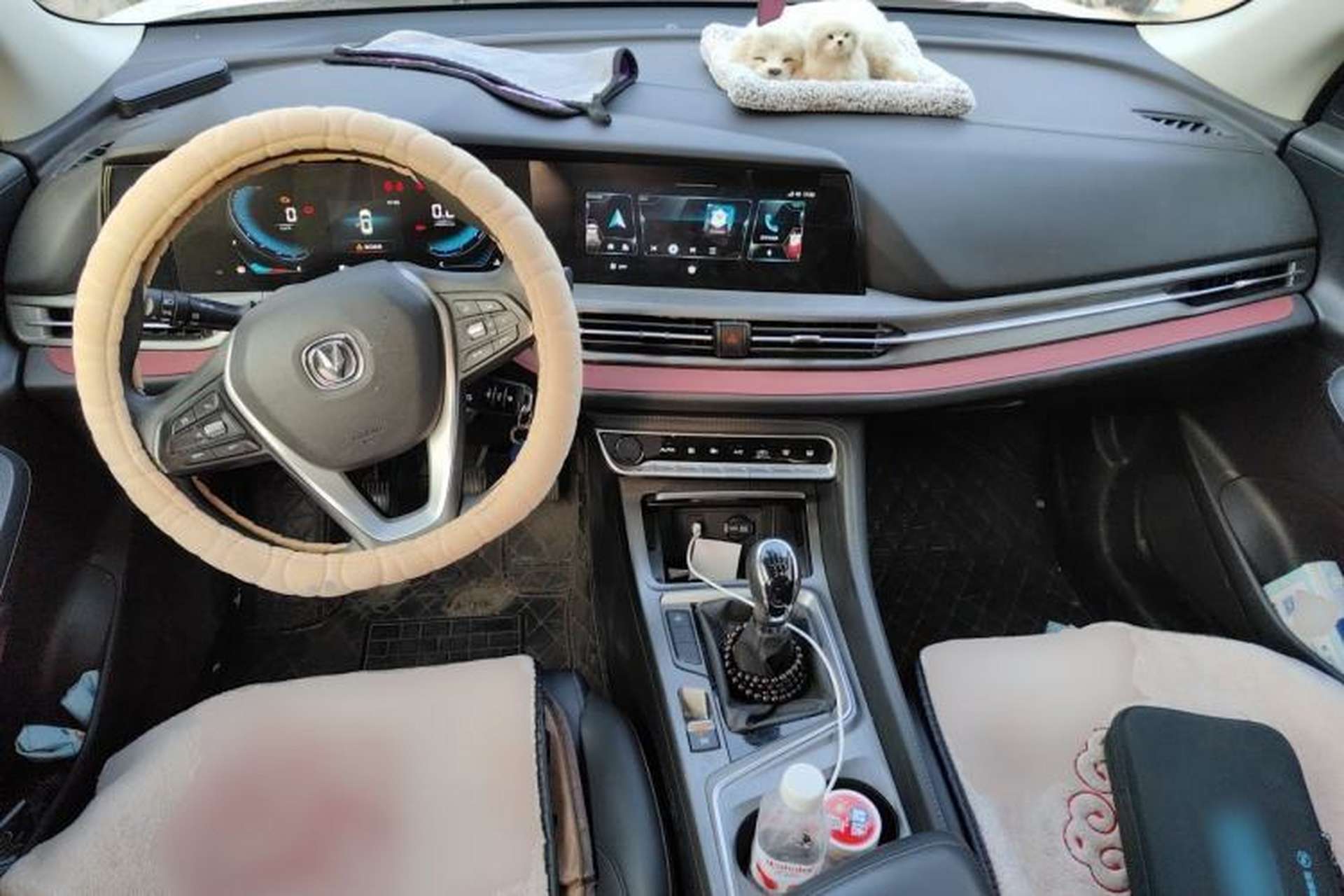 Used CHANGAN CS55PLUS 2020 1.5T Manual Colorful Model Center Console