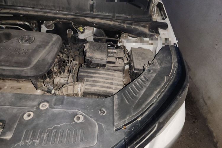 Used CHANGAN CS55PLUS 2020 1.5T Manual Colorful Model Engine Bay Left