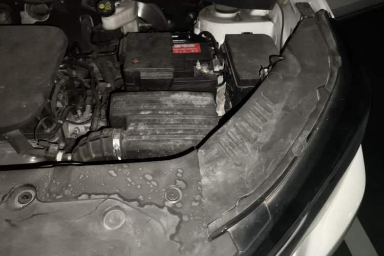Used CHANGAN CS55PLUS 2020 1.5T Automatic Colorful Model Engine Bay Left