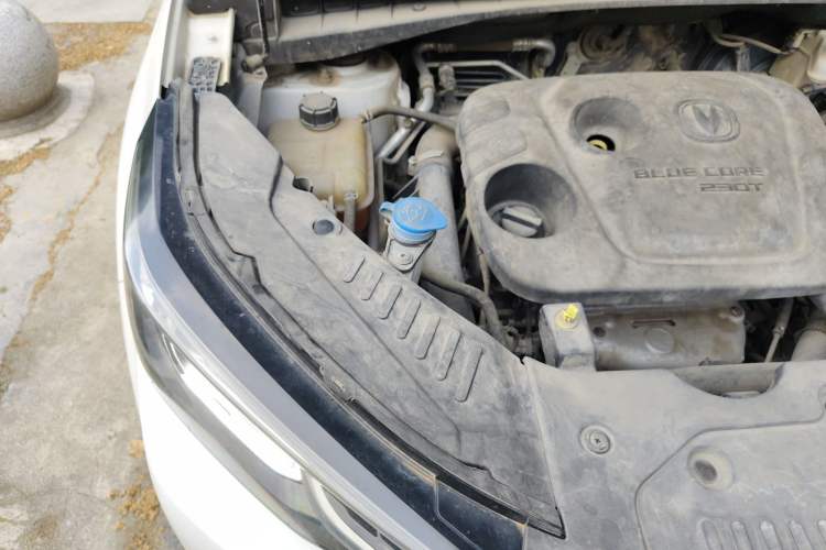Used CHANGAN CS55PLUS 2020 1.5T Automatic Colorful Model Engine Bay Right