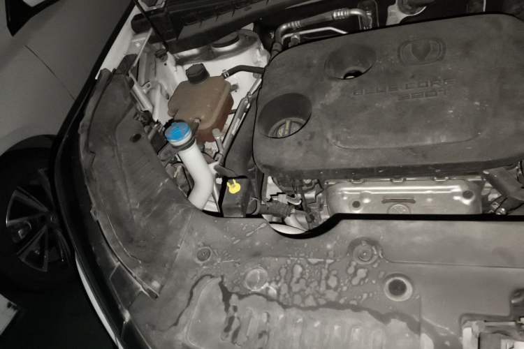 Used CHANGAN CS55PLUS 2020 1.5T Automatic Colorful Model Engine Bay Right