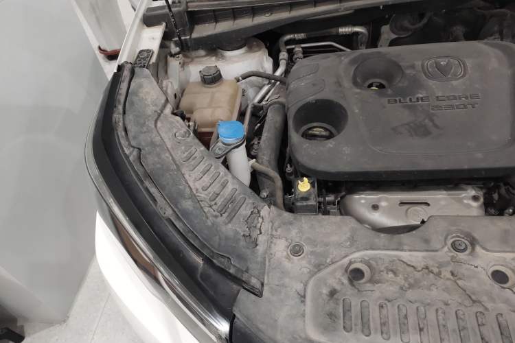 Used CHANGAN CS55PLUS 2020 1.5T Automatic Colorful Model Engine Bay Right