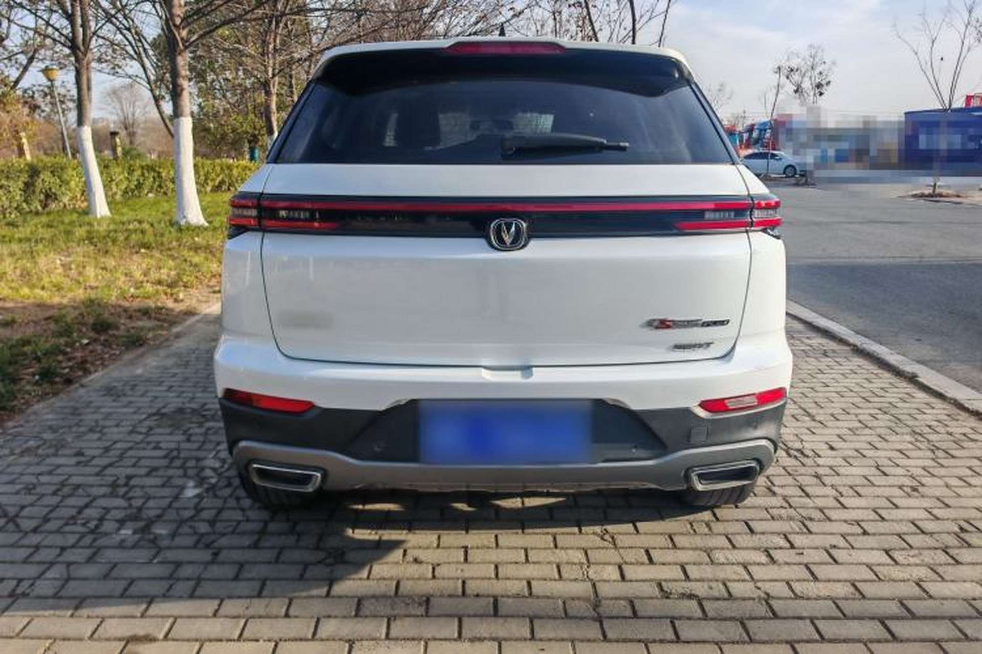 Used CHANGAN CS55PLUS 2020 1.5T Manual Colorful Model Exterior 6