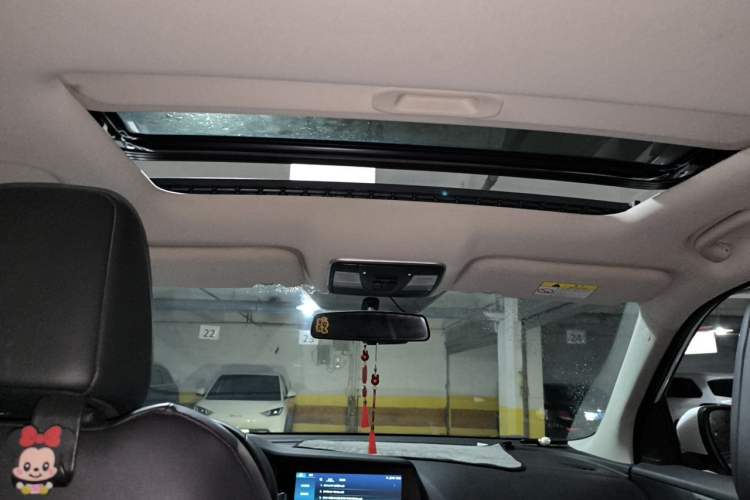 Used CHANGAN CS55PLUS 2020 1.5T Automatic Colorful Model Headliner
