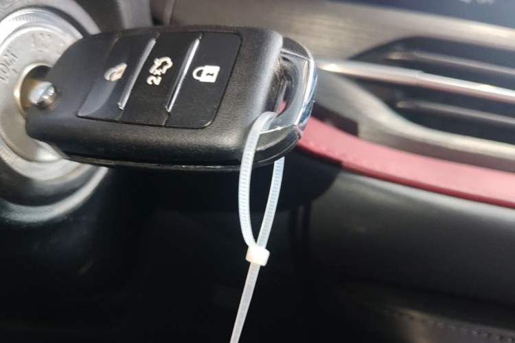 Used CHANGAN CS55PLUS 2020 1.5T Manual Colorful Model Interior 1