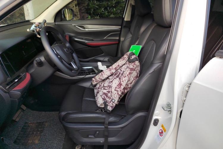 Used CHANGAN CS55PLUS 2020 1.5T Automatic Xuan Dong Edition Left Front Seat