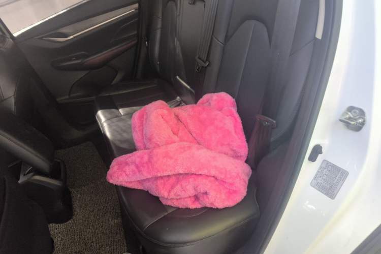 Used CHANGAN CS55PLUS 2020 1.5T Automatic Colorful Model Left Rear Seat