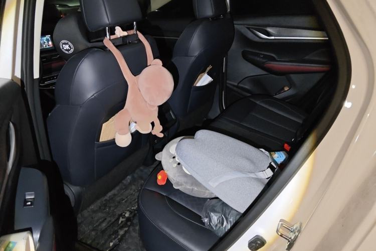 Used CHANGAN CS55PLUS 2020 1.5T Automatic Colorful Model Left Rear Seat
