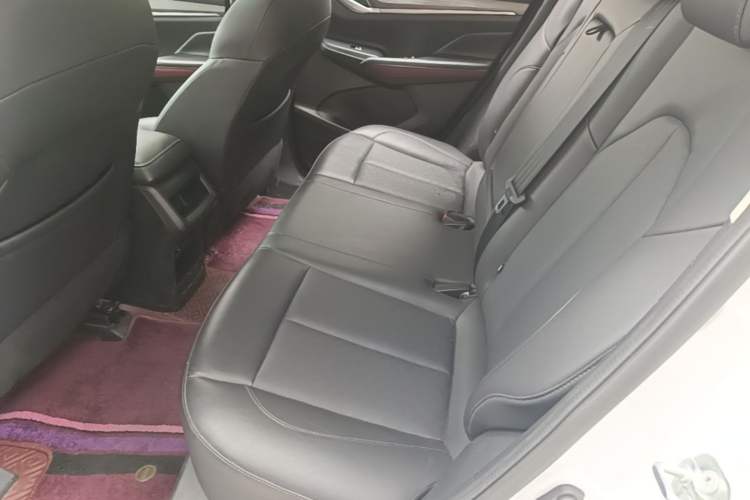 Used CHANGAN CS55PLUS 2020 1.5T Automatic Colorful Model Left Rear Seat