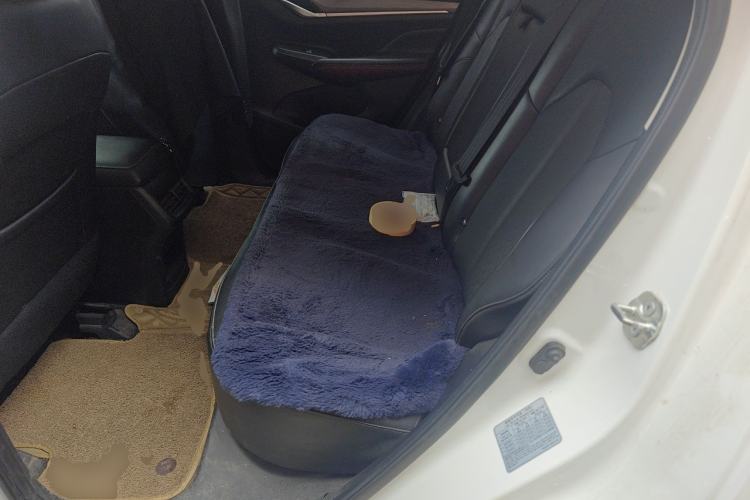 Used CHANGAN CS55PLUS 2020 1.5T Automatic Xuan Dong Edition Left Rear Seat