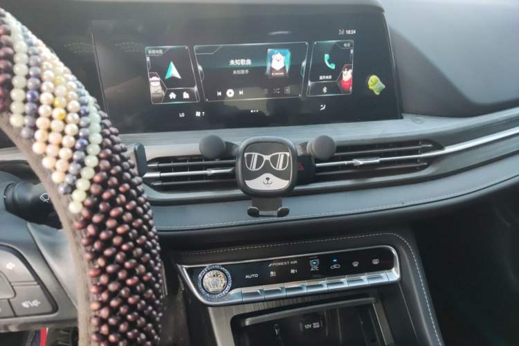 Used CHANGAN CS55PLUS 2021 Blue Whale Edition 1.5T DCT Luxury Model Audio And AC Panel