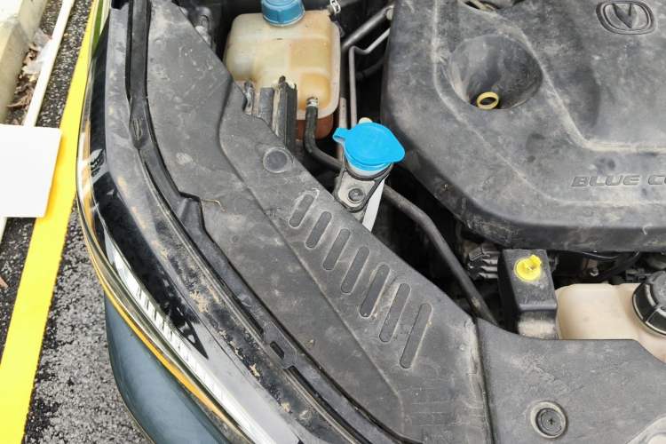 Used CHANGAN CS55PLUS 2021 Blue Whale Edition 1.5T DCT Luxury Model Engine Bay Right