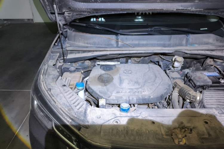 Used CHANGAN CS55PLUS 2021 Blue Whale Edition 1.5T DCT Luxury Model Engine Bay Right