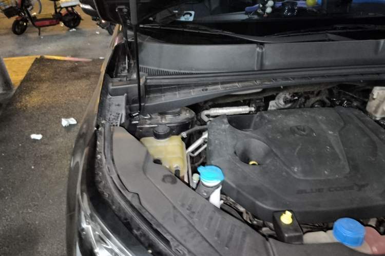 Used CHANGAN CS55PLUS 2021 Blue Whale Edition 1.5T Manual Luxury Model Engine Bay Right