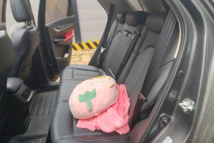 Used CHANGAN CS55PLUS 2021 Blue Whale Edition 1.5T DCT Prestige Model Left Rear Seat