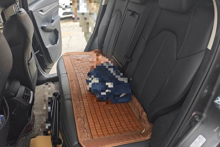 Used CHANGAN CS55PLUS 2021 Blue Whale Edition 1.5T DCT Luxury Model Left Rear Seat