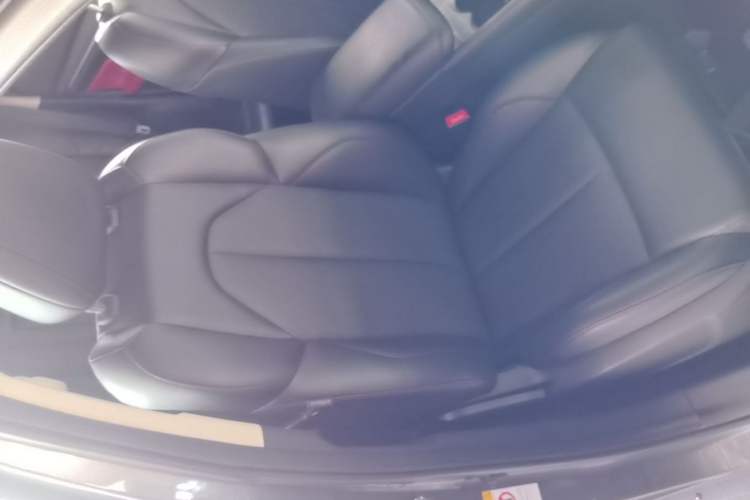 Used CHANGAN CS55PLUS 2021 Blue Whale Edition 1.5T DCT Prestige Model Right Front Seat