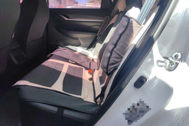 Used CHANGAN CS55PLUS 2021 Blue Whale Edition 1.5T DCT Luxury Model Left Rear Seat