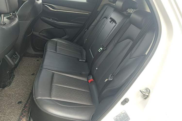Used CHANGAN CS55PLUS 2021 Blue Whale Edition 1.5T DCT Luxury Model Left Rear Seat