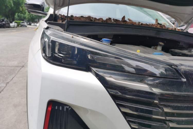 Used CHANGAN CS55PLUS 2021 Blue Whale Edition 1.5T DCT Prestige Model Right Front Headlight