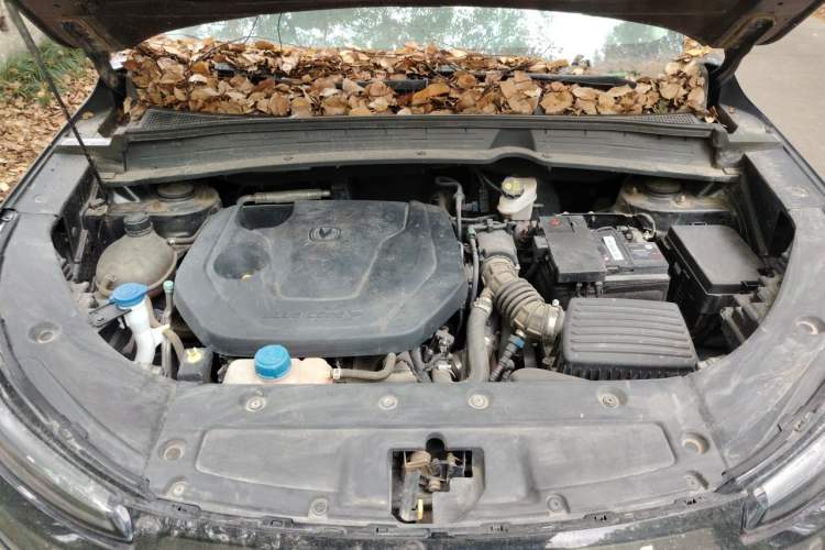 Used CHANGAN CS55PLUS 2022 2nd Generation 1.5T DCT Prestige Version Engine Bay