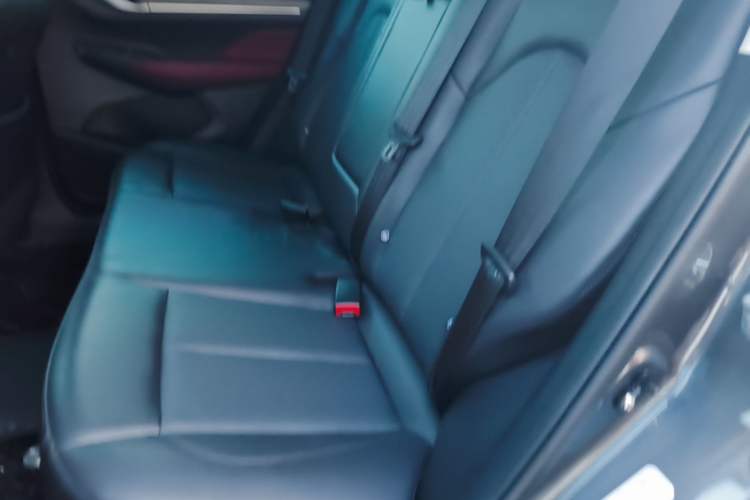 Used CHANGAN CS55PLUS 2022 Blue Whale Edition 1.5T DCT Luxury Model Left Rear Seat
