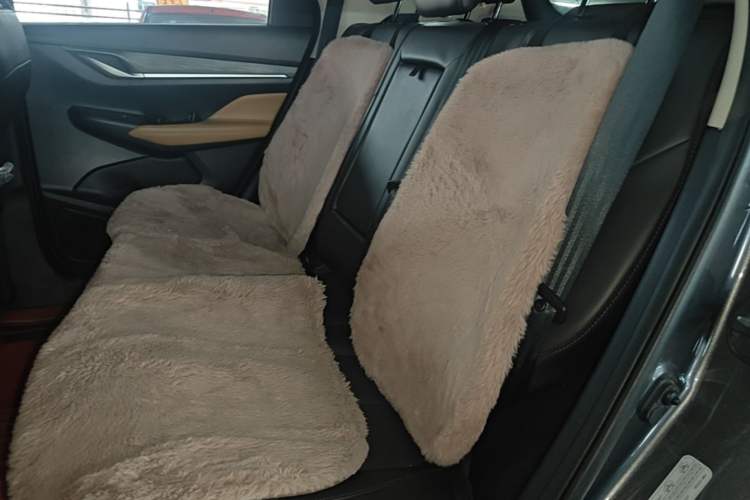 Used CHANGAN CS55PLUS 2022 Blue Whale Edition 1.5T DCT Prestige Model Left Rear Seat
