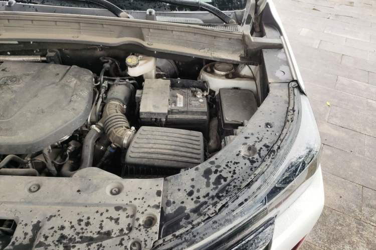 Used CHANGAN CS55PLUS 2022 2nd Generation 1.5T DCT Luxury Version Engine Bay Left