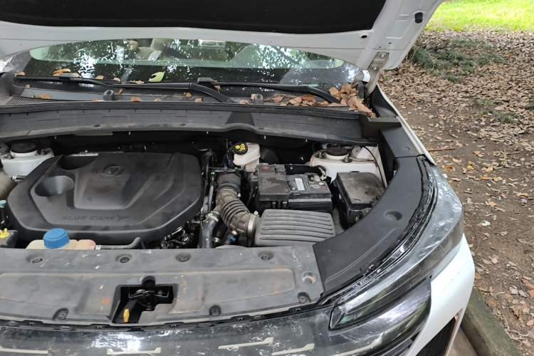 Used CHANGAN CS55PLUS 2022 2nd Generation 1.5T DCT Prestige Version Engine Bay Left