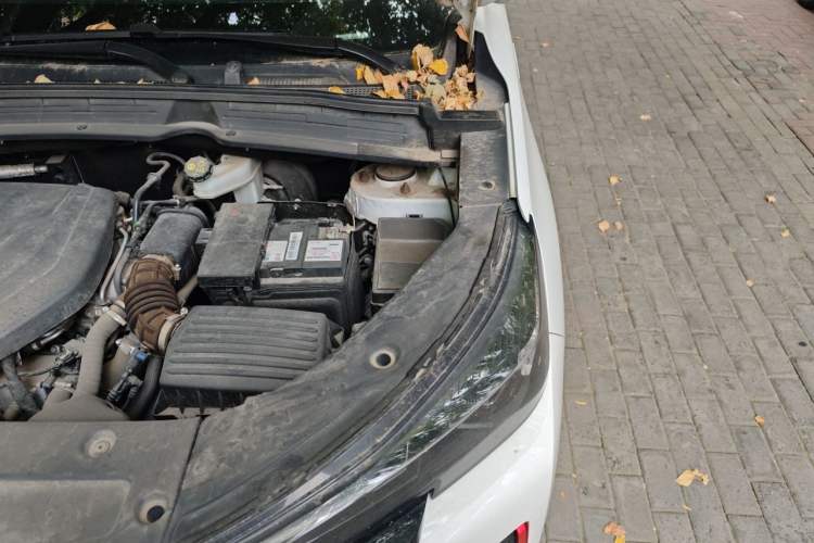Used CHANGAN CS55PLUS 2022 2nd Generation 1.5T DCT Prestige Version Engine Bay Left