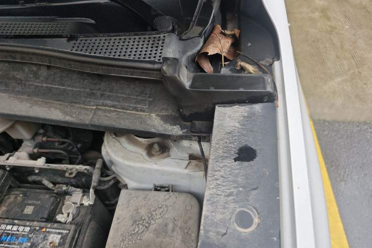 Used CHANGAN CS55PLUS 2022 2nd Generation 1.5T DCT Luxury Version Engine Bay Left