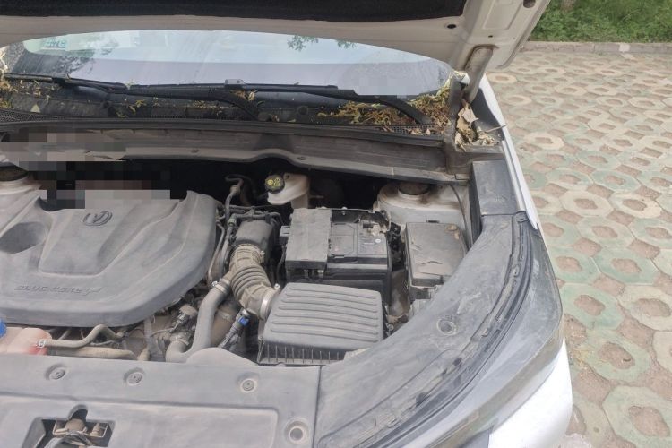 Used CHANGAN CS55PLUS 2022 2nd Generation 1.5T DCT Prestige Version Engine Bay Left
