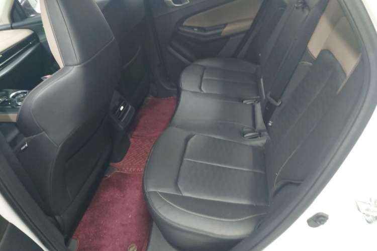Used CHANGAN CS55PLUS 2022 2nd Generation 1.5T DCT Prestige Version Left Rear Seat