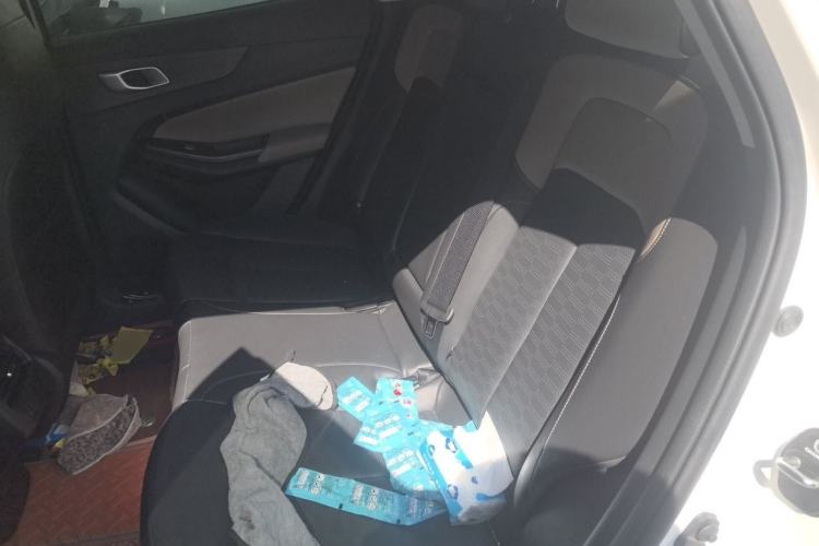 Used CHANGAN CS55PLUS 2022 2nd Generation 1.5T DCT Prestige Version Left Rear Seat