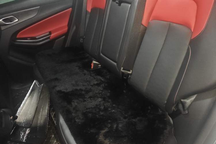 Used CHANGAN CS55PLUS 2022 2nd Generation 1.5T DCT Luxury Version Left Rear Seat