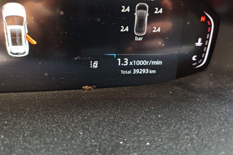 Used CHANGAN CS55PLUS 2024 3rd Generation 1.5T DCT Prestige Model Odometer Close Up