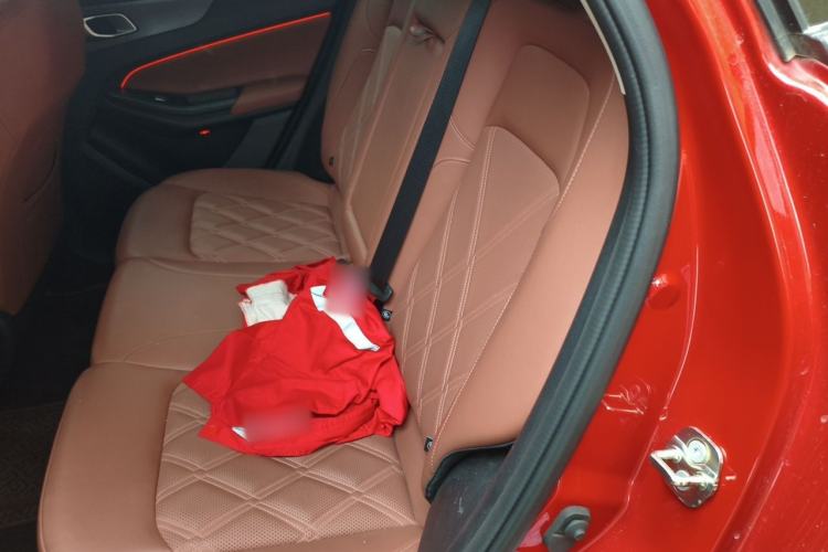 Used CHANGAN CS55PLUS 2024 3rd Generation 1.5T DCT Prestige Model Left Rear Seat