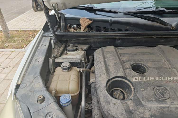Used CHANGAN CS75 2016 1.5T Manual FENGSHANG Model Engine Bay Right