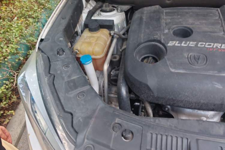 Used CHANGAN CS75 2017 Shangkui Edition 1.5T Automatic Fengxiang Model Engine Bay Right